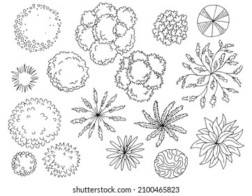 Chamomile Flower Graphic Black White Isolated Stock Vector (Royalty ...