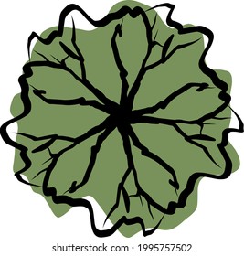 landscape architecture tree sketch concept design
