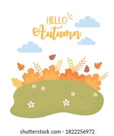 landscape in autumn nature scene, flowers bushes branches leaves in grass vector illustration