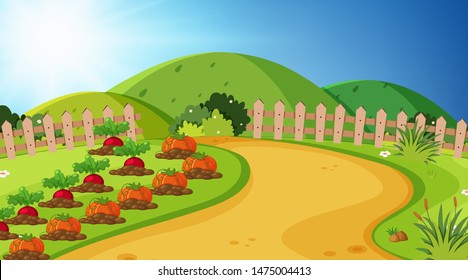 Landscape background design of vegetable garden illustration