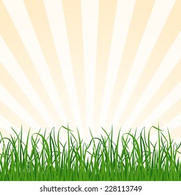 Landscape background with grass and sky. Vector Illustration