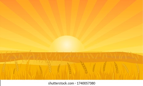 Landscape Background Vector Illustration of a Wheat Field at Sunset