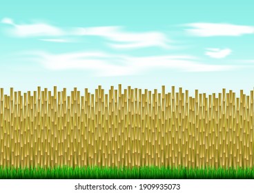Landscape bamboo fence with blue sky background. Vector illustration
