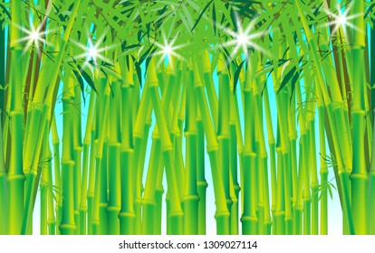 landscape of the bamboo forest