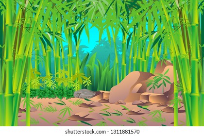 landscape of the bamboo forest