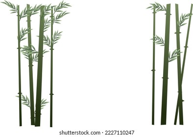 Landscape bamboo frame. Tropical reed beds. Jungle and rainforest of southern latitudes. Cartoon fun style. Flat design. Isolated on white background. Vector.