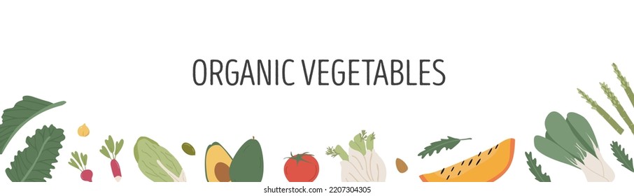 Landscape banner with different colorful vegetables for farmers market menu design. Header with healthy food. Frame or border with various organic local products template. Vector flat illustration.