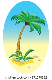 Landscape with beach and palm 