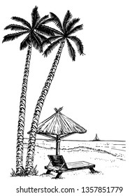 Landscape with a beach sketch. Vector illustration of seaside promenade with palms, chaise longue, parasol and yachts. Black and white handmade drawing. 