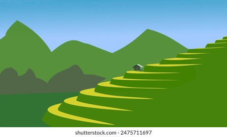 Landscape of beautiful curvy tea plantation illustration