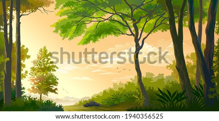 A landscape of a beautiful forest with the sun setting in the background.