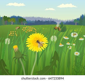 Landscape with bees on the flower meadow