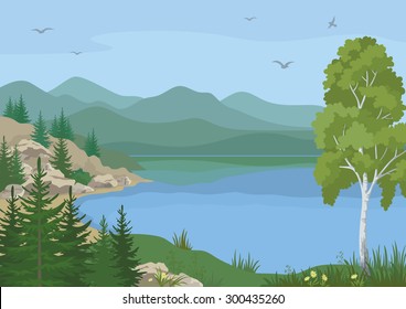 Landscape with Birch, Fir Trees, Flowers and Grass on the Shore of a Mountain Lake under a Blue Sky with Birds. Vector