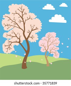 Landscape with blooming sakura