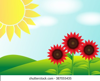 Landscape with blooming sunflowers