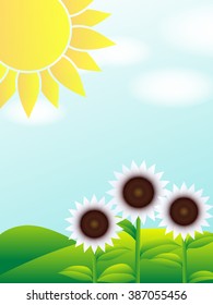 Landscape with blooming sunflowers