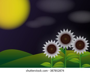 Landscape with blooming sunflowers