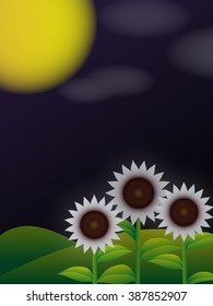 Landscape with blooming sunflowers