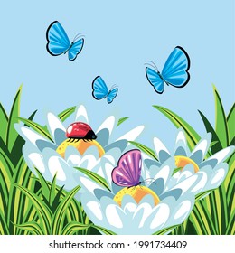 landscape butterflies ladybug grass sky