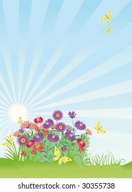 The landscape is by a summer day with asters and butterflies