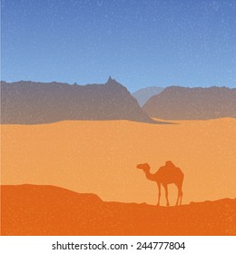 landscape with camel in desert