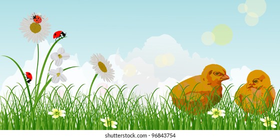 landscape with chicken in green grass