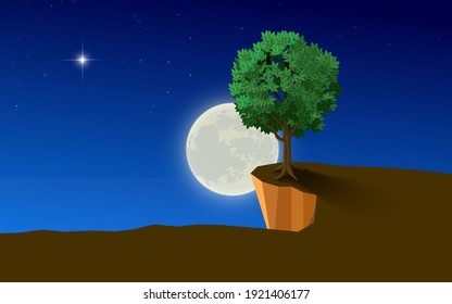 landscape of cliff on the mountain in the full moon night