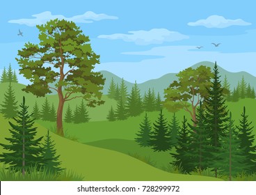 Landscape with Coniferous and Deciduous Trees, Grass, Mountains and Blue Cloudy Sky with Birds. Vector
