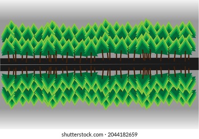 Landscape coniferous forest during cloudy day.