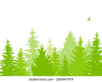  Landscape of coniferous forest. Eco banner. Green and white tones.