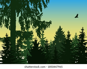  Landscape of coniferous forest. Eco banner.