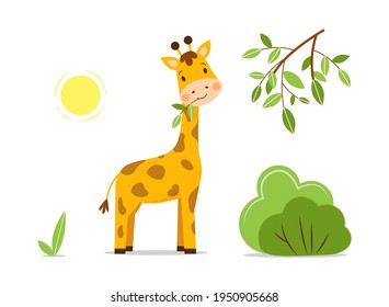 Paisaje con una linda jirafa de bebé masticando las hojas de un árbol en un aislado fondo blanco. El personaje kawaii, vector plano, se alza sobre el césped verde en un día soleado y sonríe alegremente. 