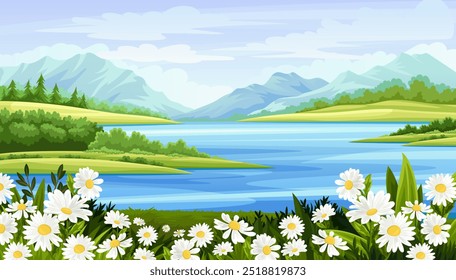 Paisagem de margaridas. Bela paisagem e panorama natural. Erva e camomila perto de lago ou rio. Prado com cacho de flores. Verão de primavera. Ilustração de vetor plano