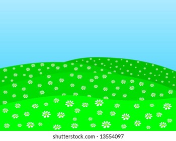 Landscape with daisy fields and clouds. Vector illustration