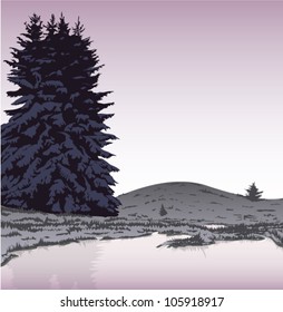 landscape at dawn