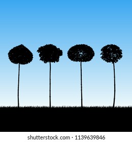 Landscape with decorative trees. Vector illustration with isolated silhouettes of maples growing in grass. Blue pastel background