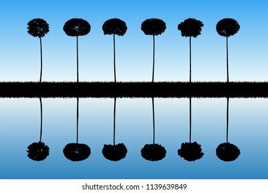 Landscape with decorative trees. Vector illustration with isolated silhouettes of maples reflected in water. Blue pastel background