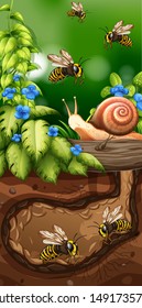 Landscape design with bees underground illustration