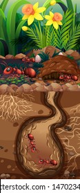 Landscape design with red ants underground illustration