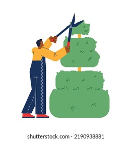 Landscape design service worker cuts a tree and gives it decorative shape, flat vector illustration isolated on white background. Green fence and maintenance of landscape.