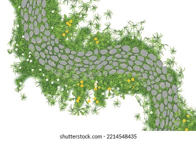 Landscape design. Stone pavement with grass. Top view. Walkway landscape with stone path, paving flagstone. View from above.