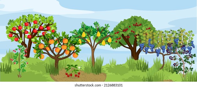 Landscape with different fruit trees and berry shrubs with ripe fruits on the branches. Harvest time