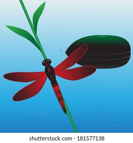 Landscape, a dragonfly on a branch about water and a stone.