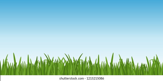 Landscape with dreen grass against the blue sky background. grass leaves and lawn at the foreground. Vector illustartion