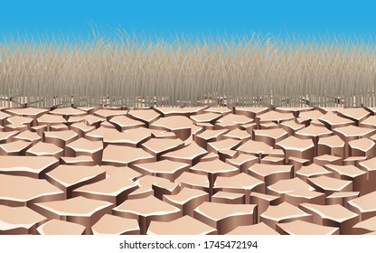 landscape of dry grass on the dry soil in the river