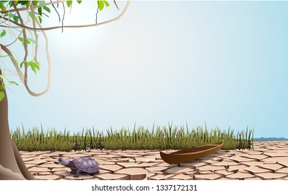 landscape of dry swamp in summer