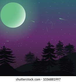 Landscape at dusk. Night forest. Flat design