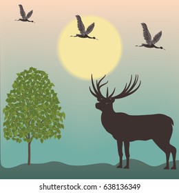 Landscape early morning deer, birds, deciduous tree 