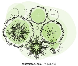 Landscape Elements