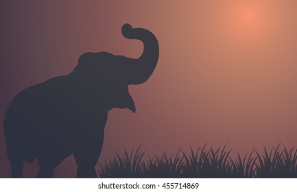Landscape elephant in fields silhouettes vector illustration
